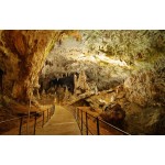 SLOVENYA - AVUSTURYA - İTALYA